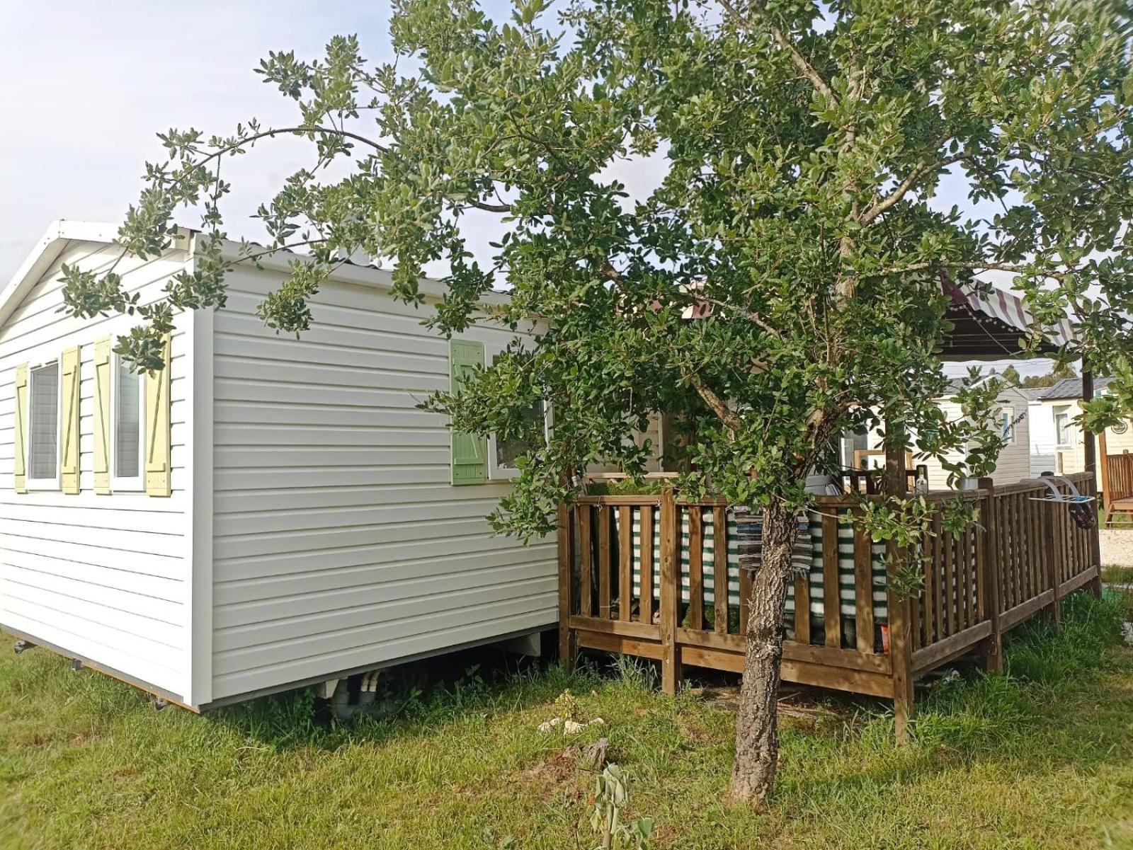 Tinyhouse Tilda - Near Famous Beaches Pataias Exterior foto